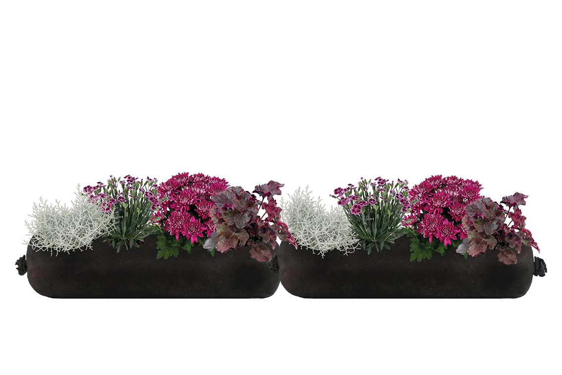 Bloom Bag Refill - Large