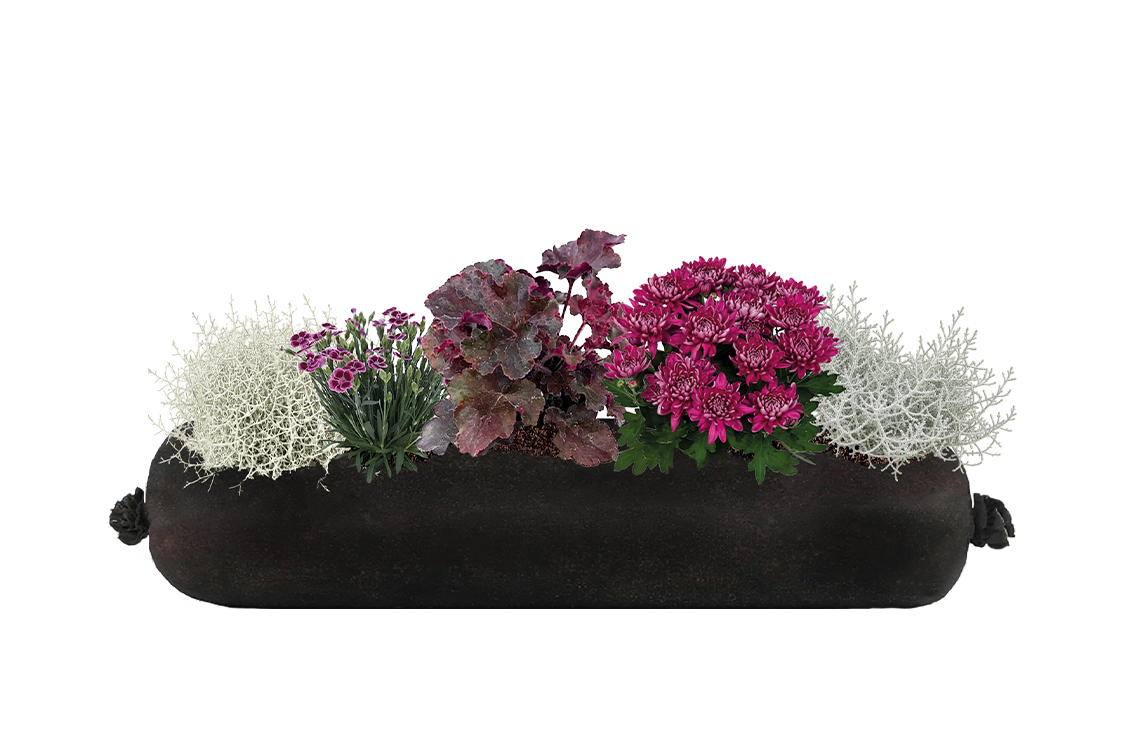 Bloom Bag Refill - Medium