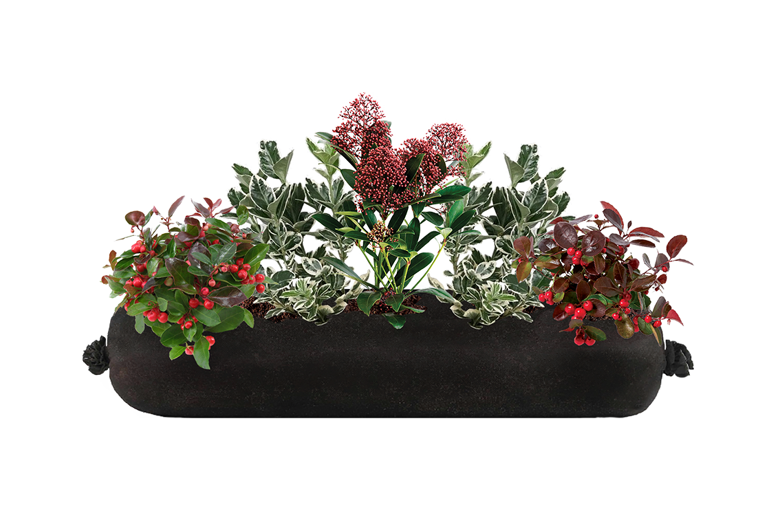 Decorative planter with greenery and red berries on a white background
