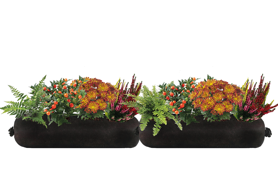 Bloom Bag Refill - Large