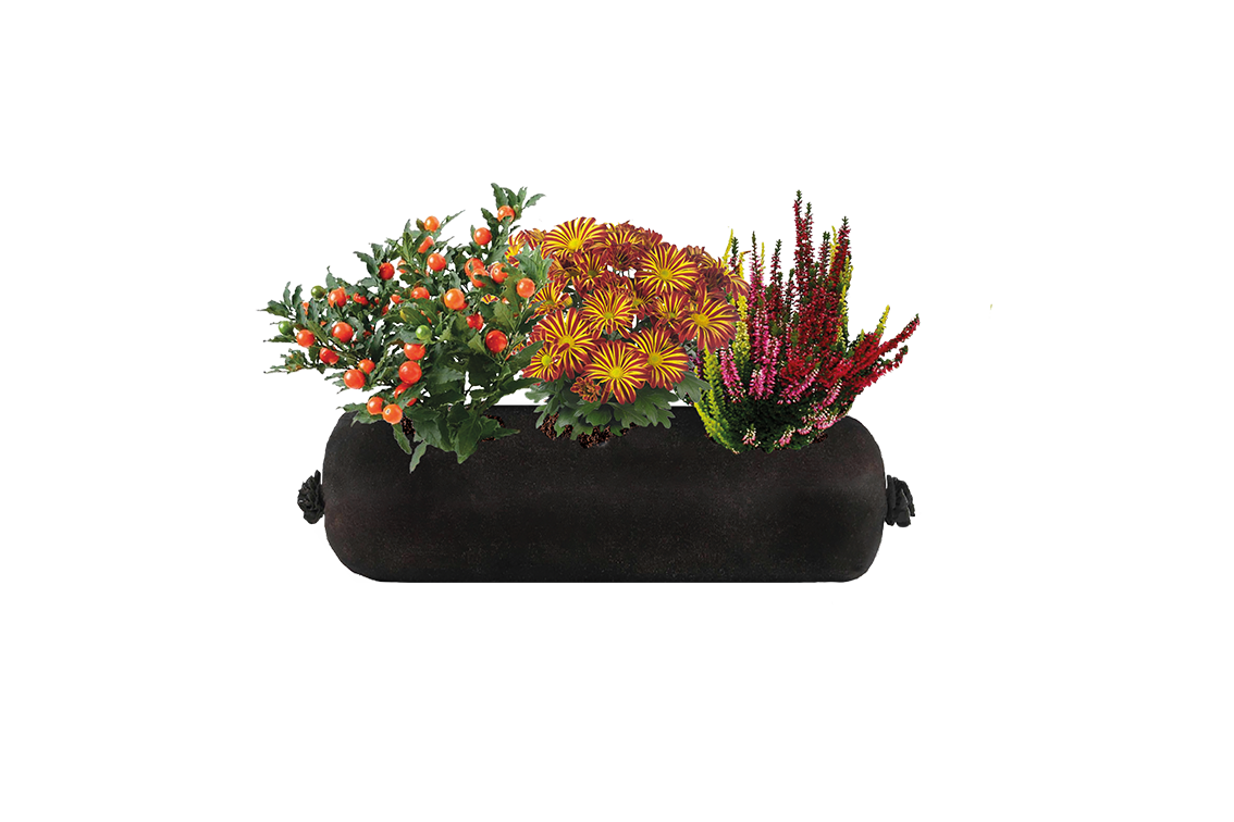Bloom Bag Refill - Small