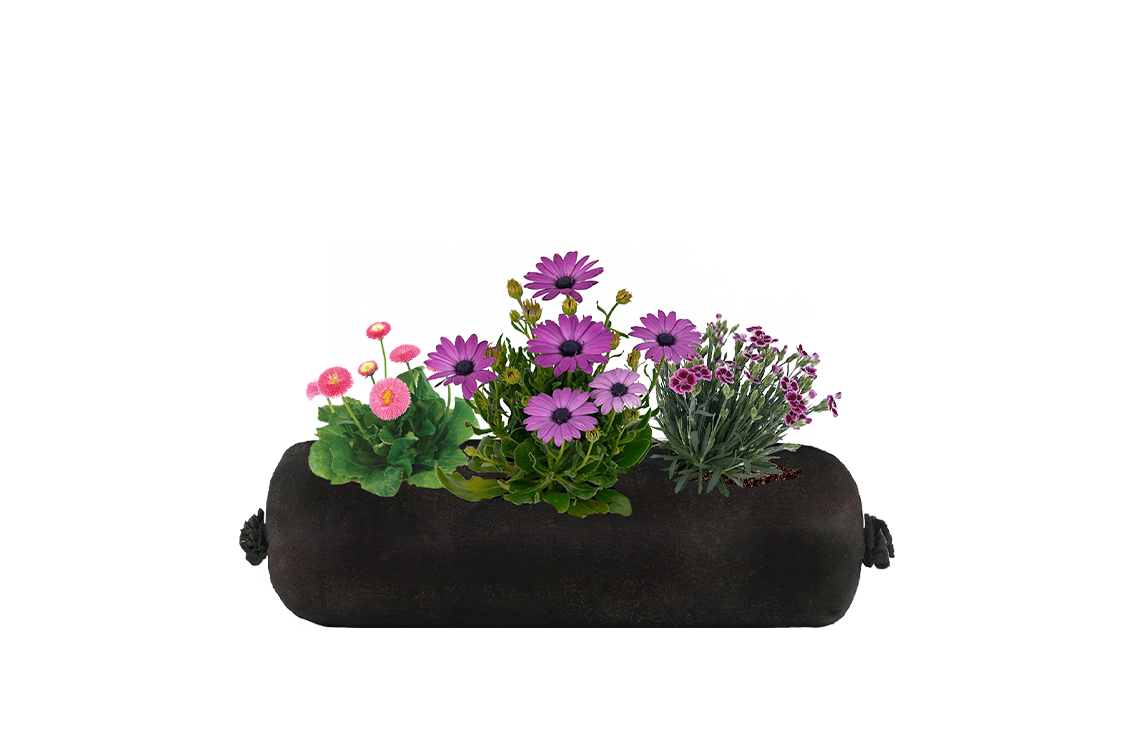 Bloom Bag Refill - Small