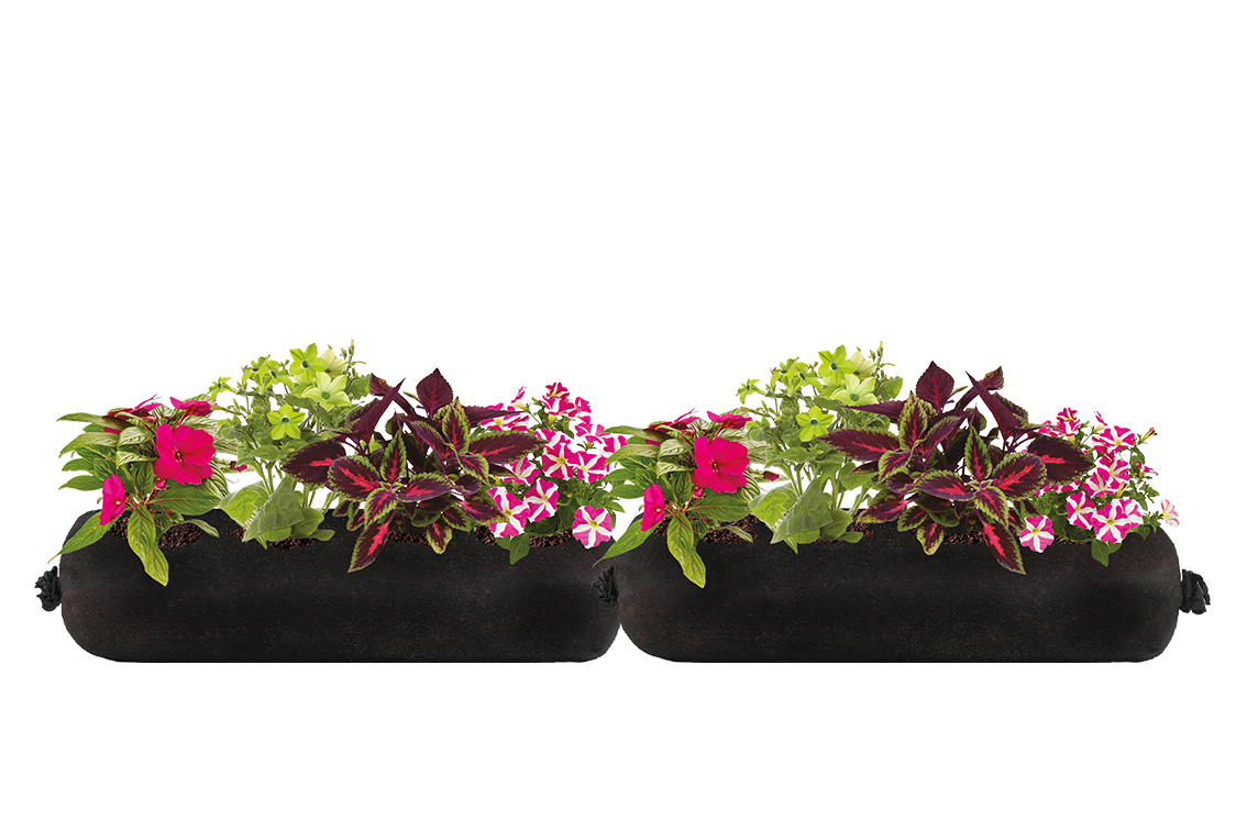 Bloom Bag Refill - Large