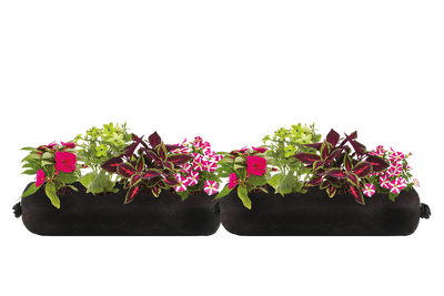 A hanging basket of pink and white flowers.