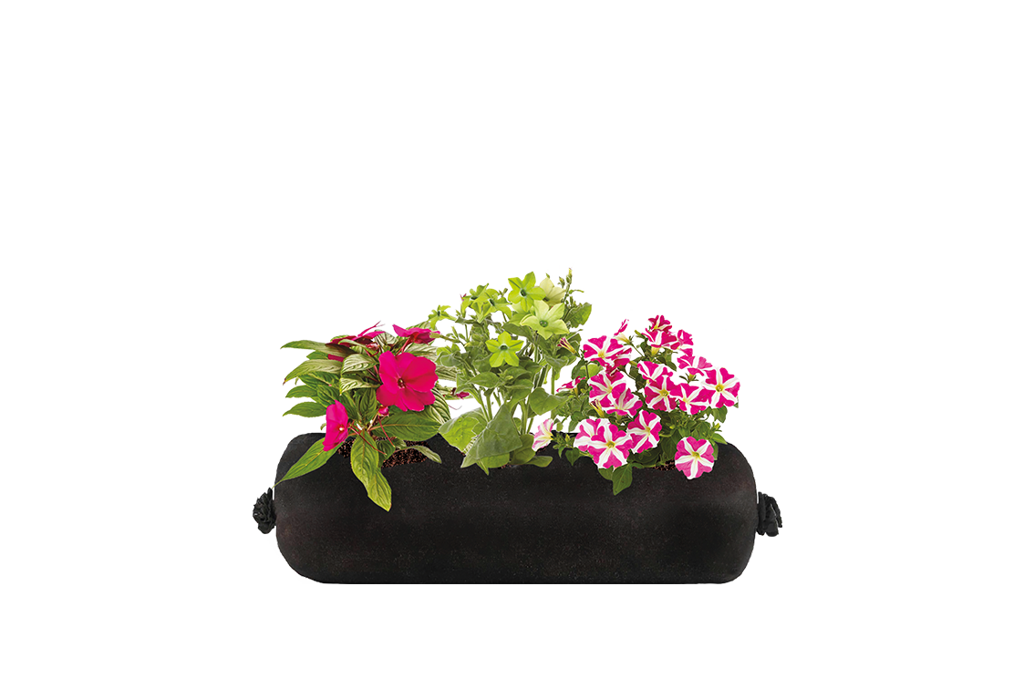 Bloom Bag Refill - Small
