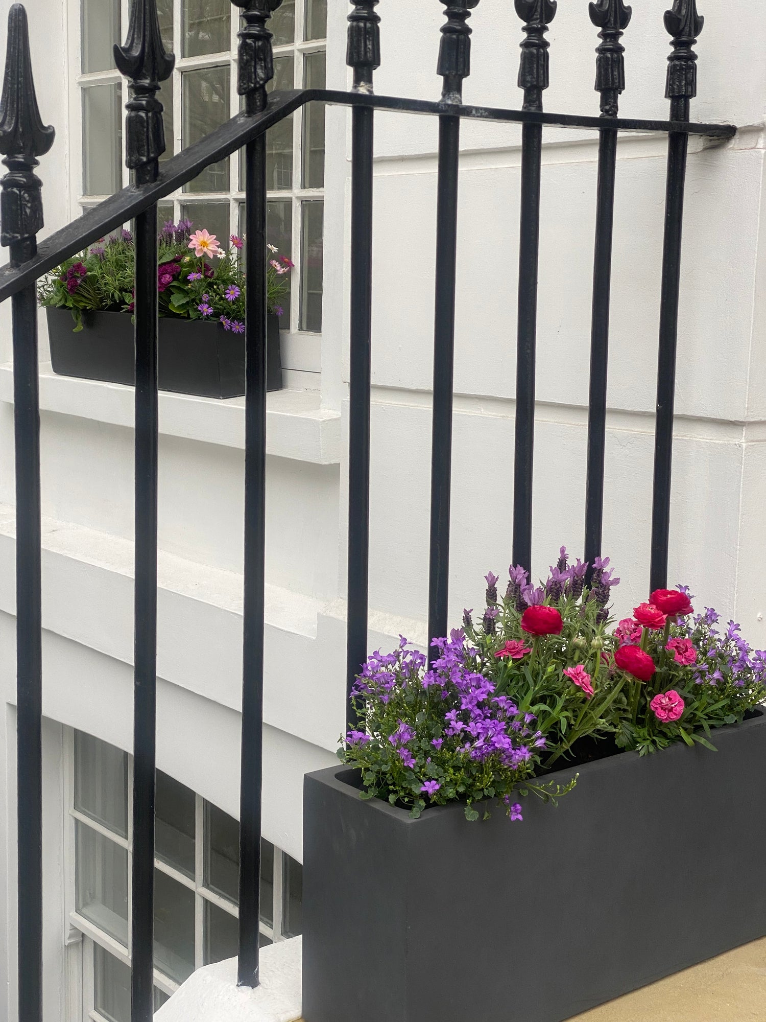 Planted window boxes outside a house