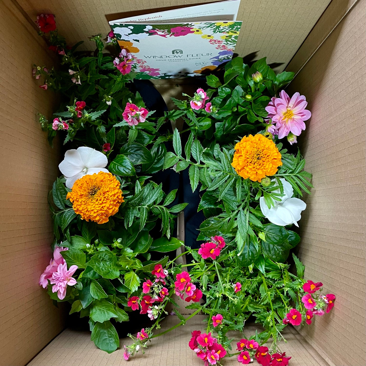 Pink, white and orange flowers in a delivery box