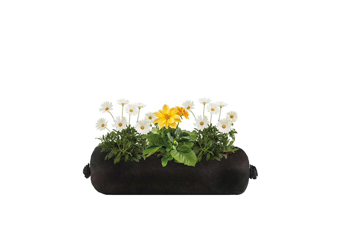 A small window box planter filled with an assortment of colorful flowers, including pink, purple, and white varieties.