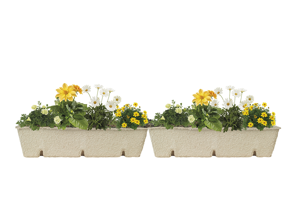 A window box planter containing green and pink plants.