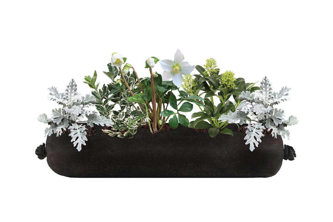 Decorative planter with greenery and white flowers on a white background