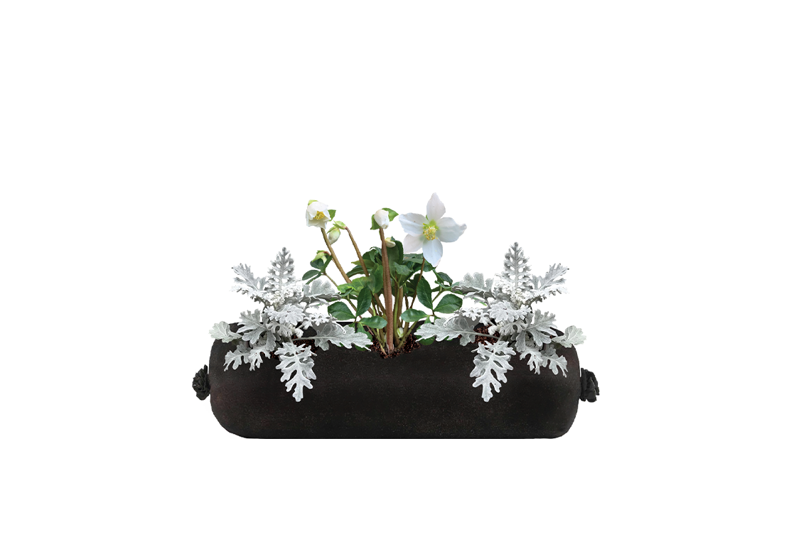 Black fabric planter with white flowers on a white background