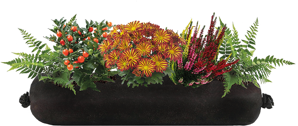 Parralax 2