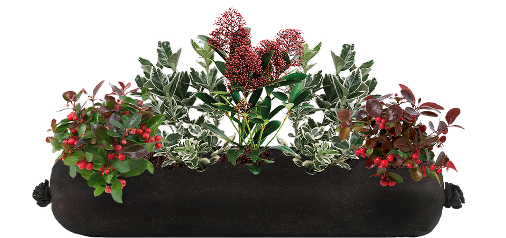 Parralax ac47b8ab 2d71 410c a10d d8061ceb3f40