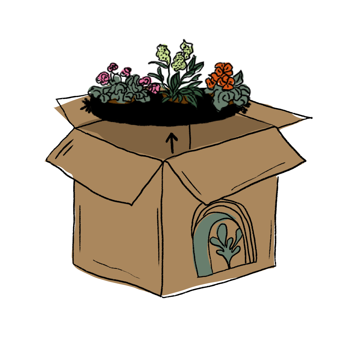 Step 2 refill Bloom bag
