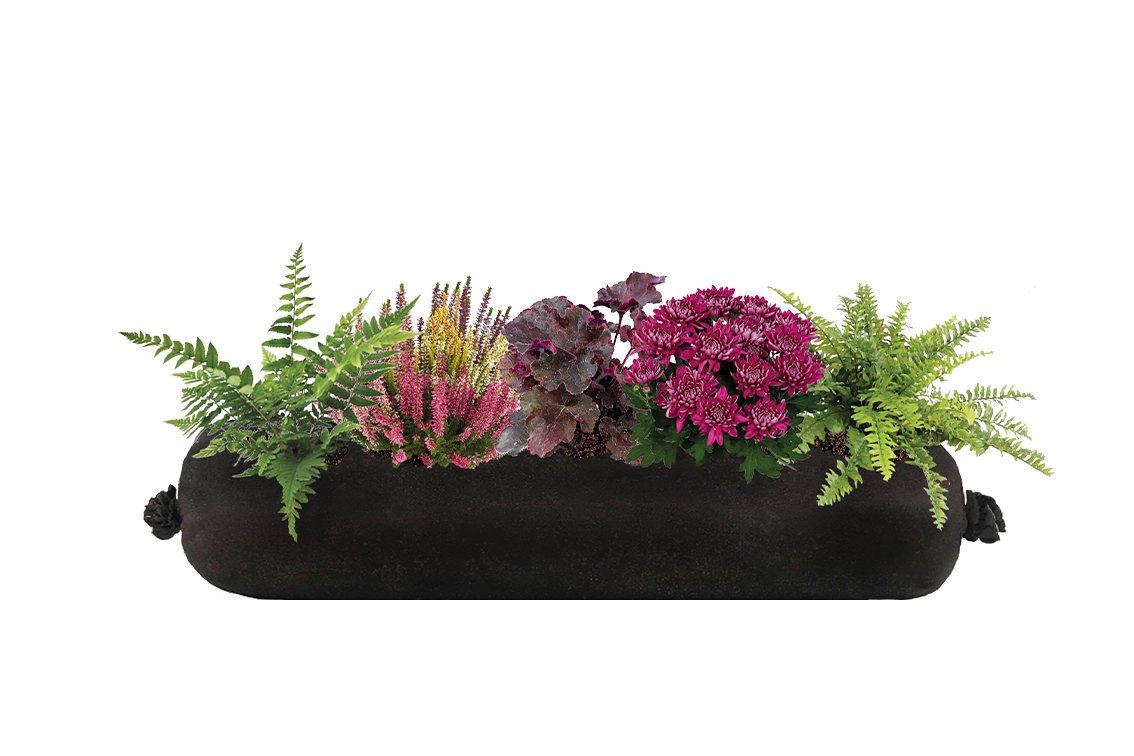 Black fabric planter with assorted plants on a white background