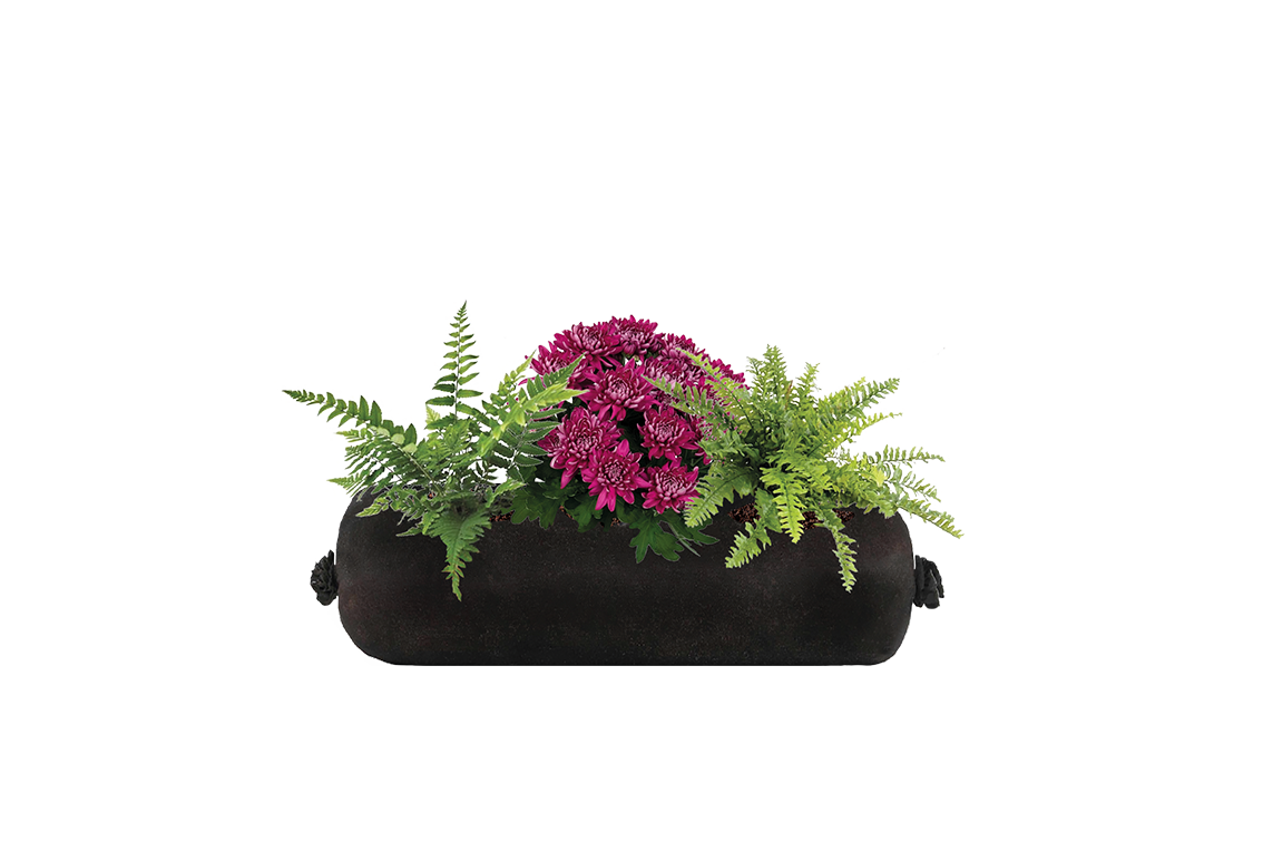 Black cylindrical planter with green ferns and pink flowers on a white background