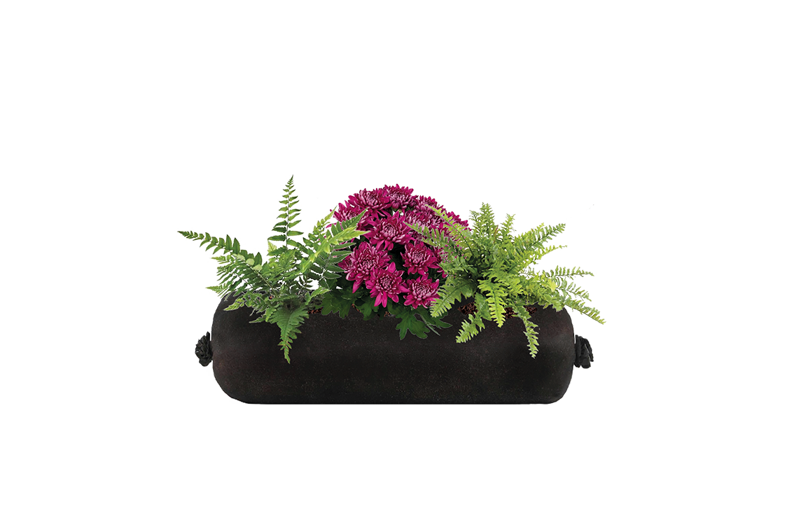 Black cylindrical planter with green ferns and purple flowers on a white background