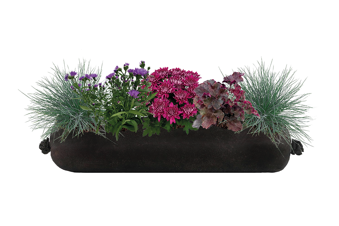 Bloom Bag Refill - Medium
