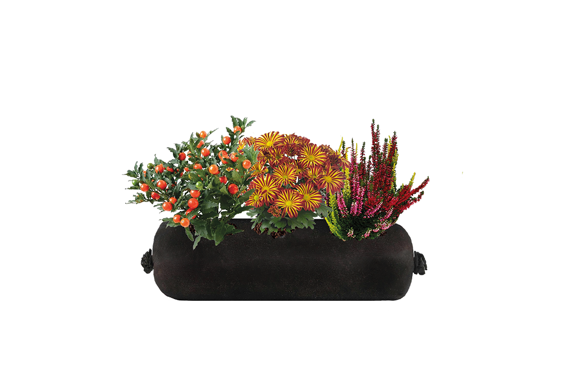 Black fabric planter with colorful flowers on a white background