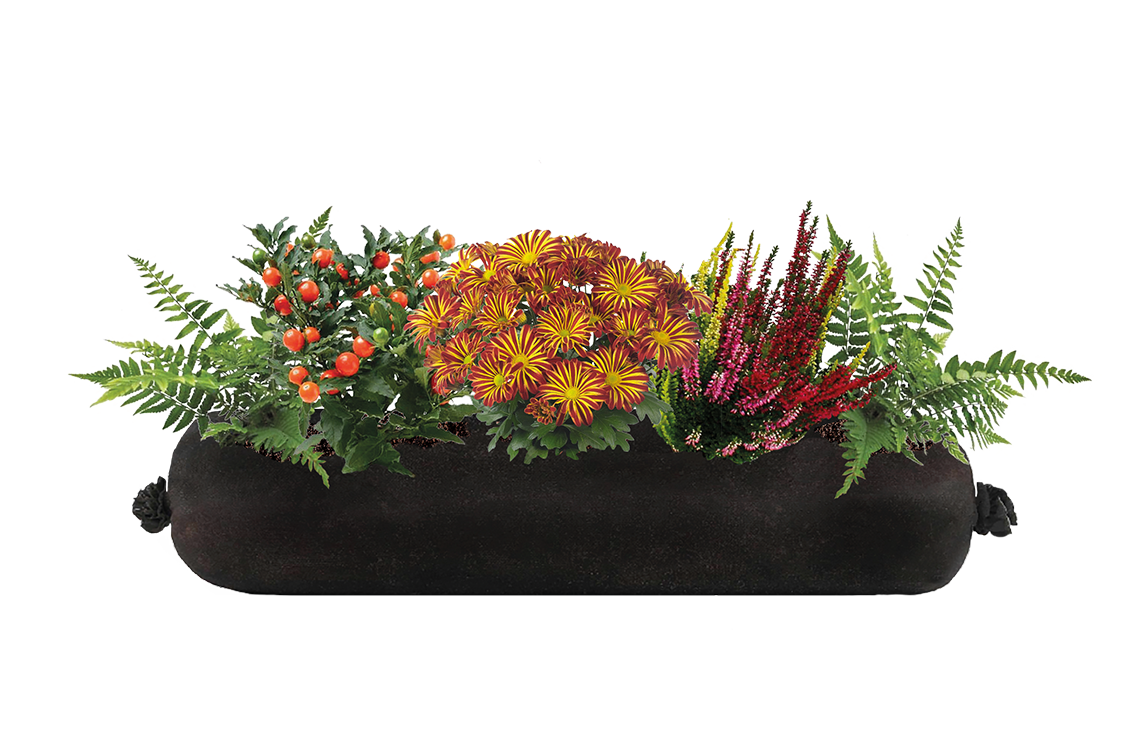 Black planter with colorful flowers and greenery on a white background