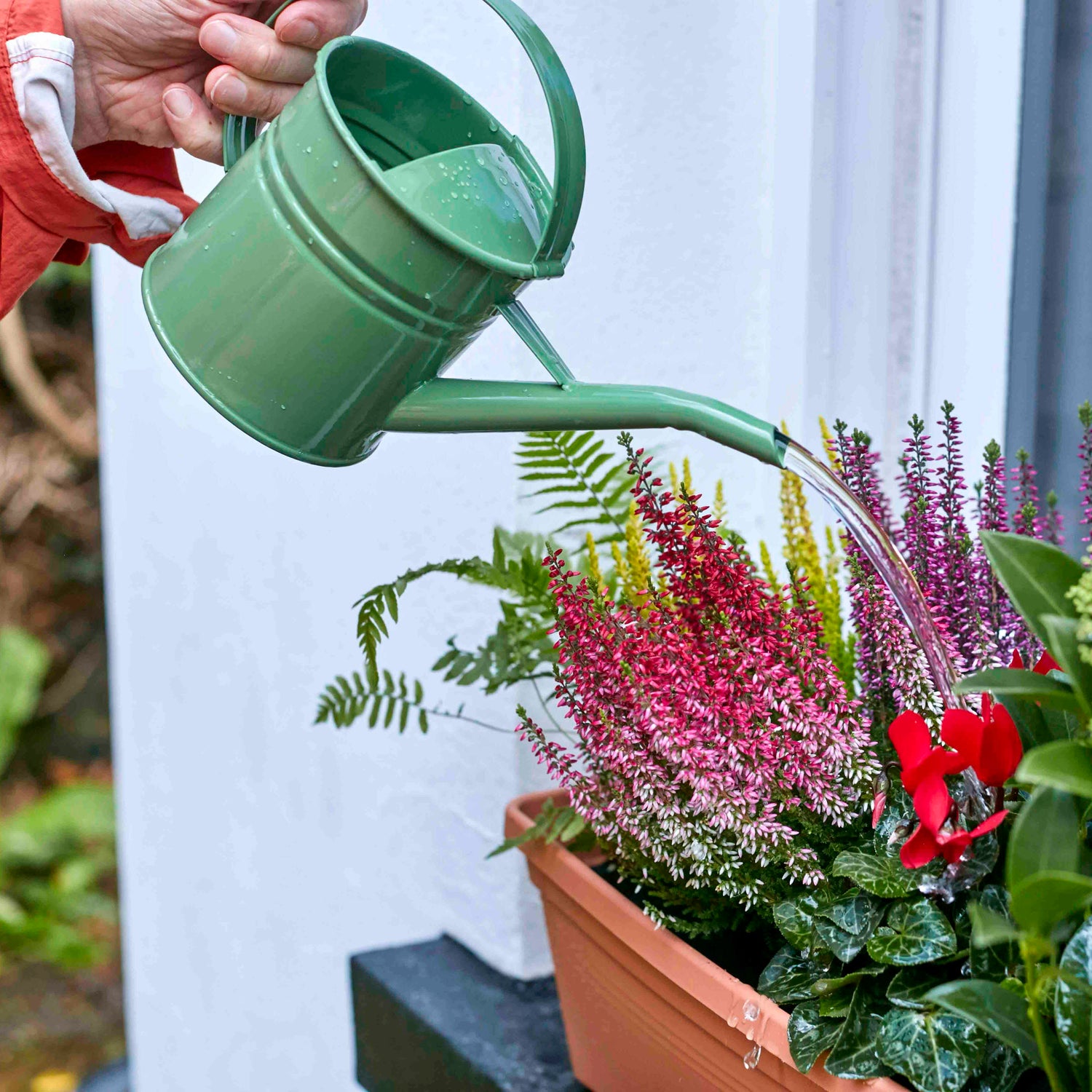 2_ec3516c6-854c-437a-8bc2-677f779feb7c