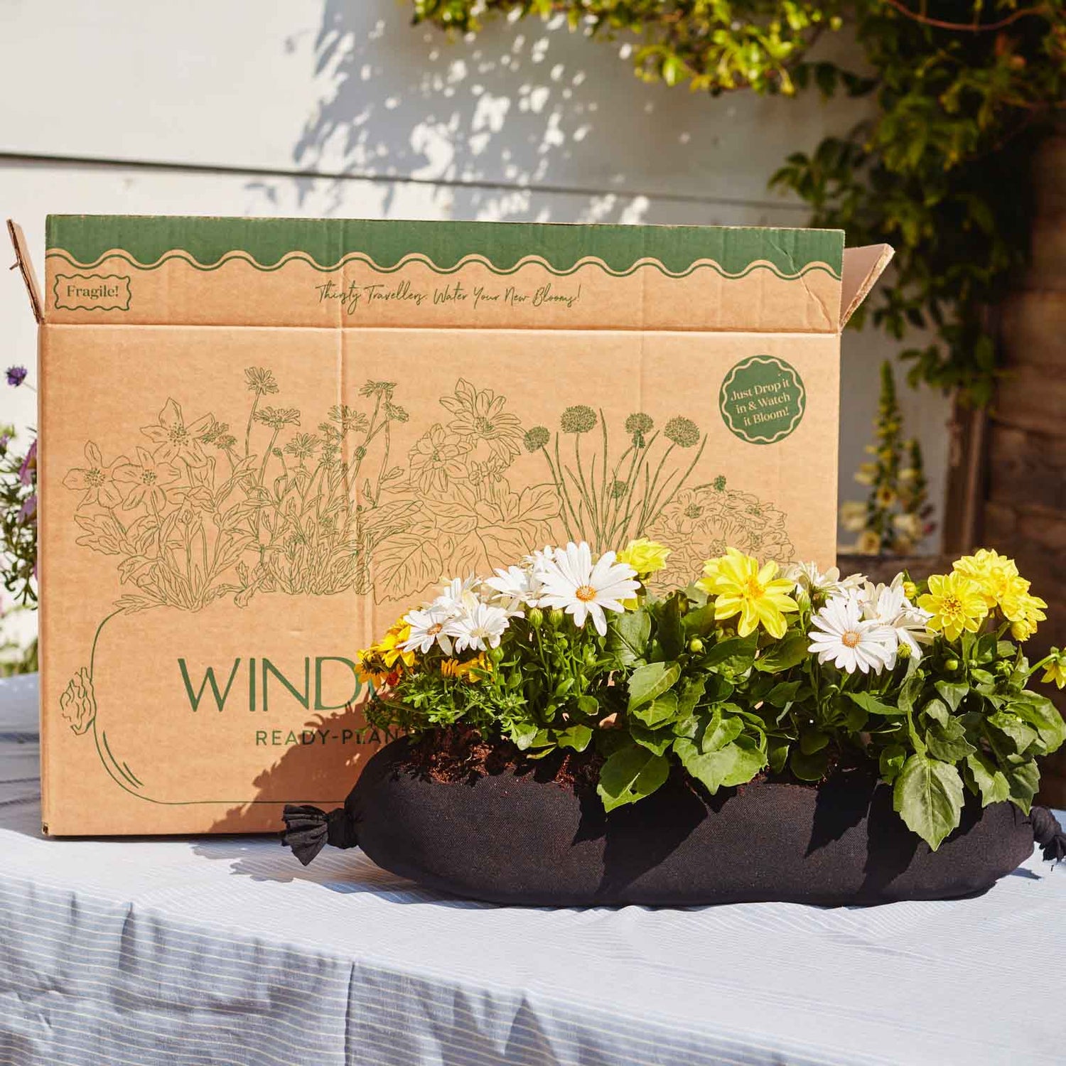 5_3256715f-9db7-4445-b462-24463129c222