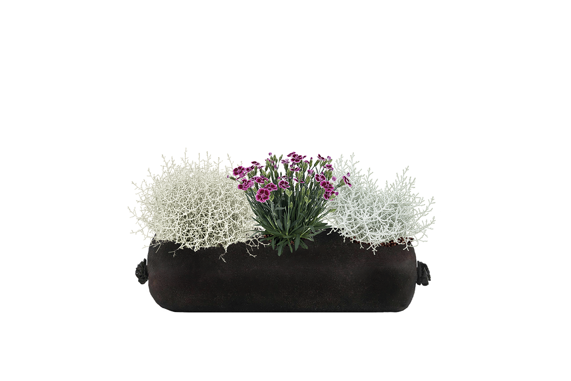 Bloom Bag Refill - Small