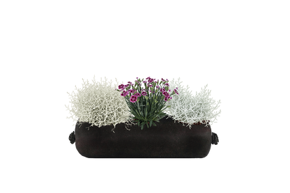 Bloom Bag Refill - Small