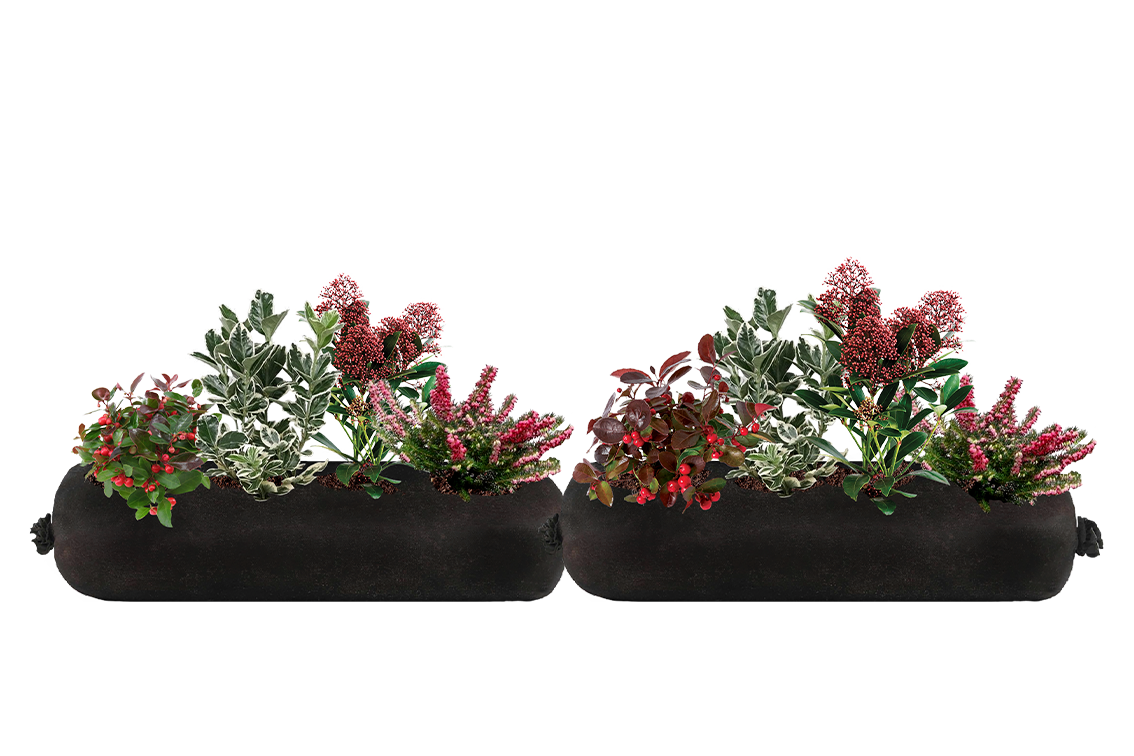 Two black fabric planters with green and red plants on a white background