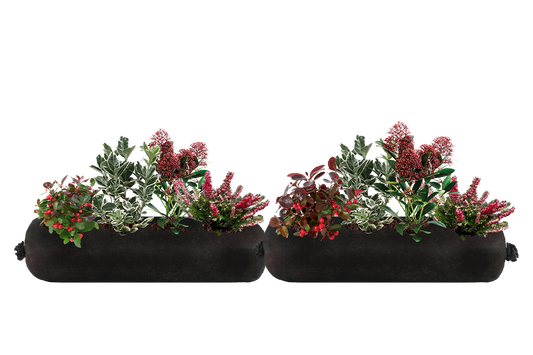 Two black fabric planters with green and red plants on a white background