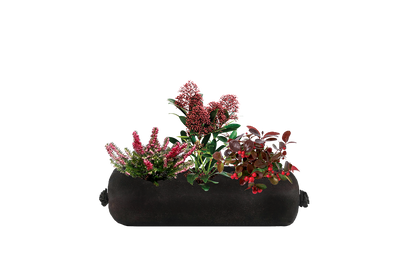 Small black fabric planter insert with three festive red flowering plants on a white background.