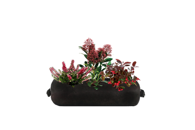 Small black fabric planter insert with three festive red flowering plants on a white background.