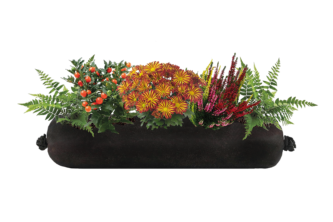 Bloom Bag Refill - Medium