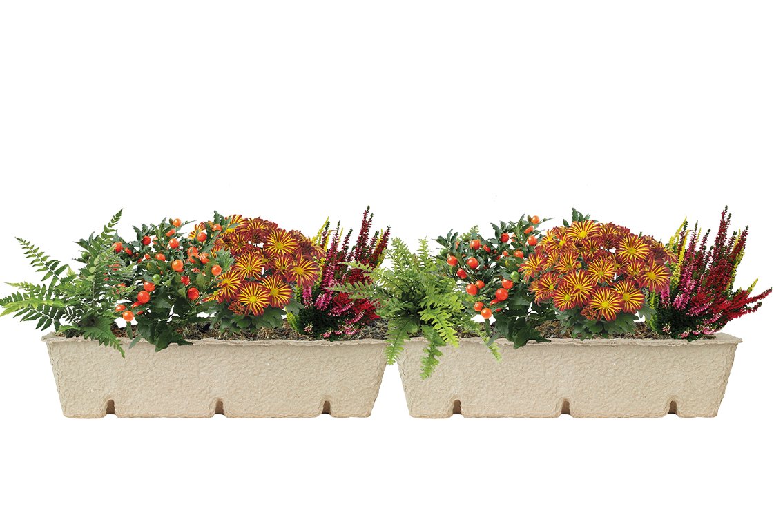 Window Box Refill