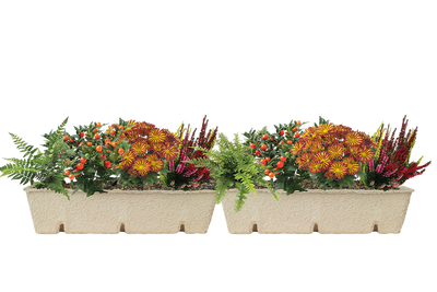 Window Box Refill