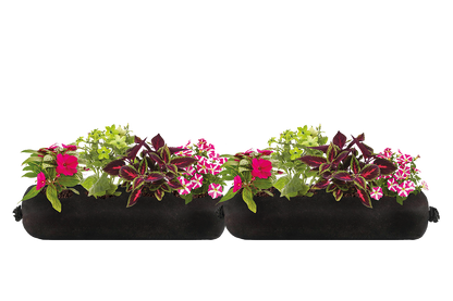 Bloom Bag Refill - Large