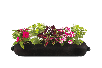 Bloom Bag Refill - Medium