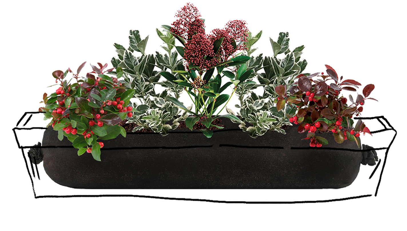 Homepage_A_9d2b65ac-54bf-4788-af45-54d41a0090c8