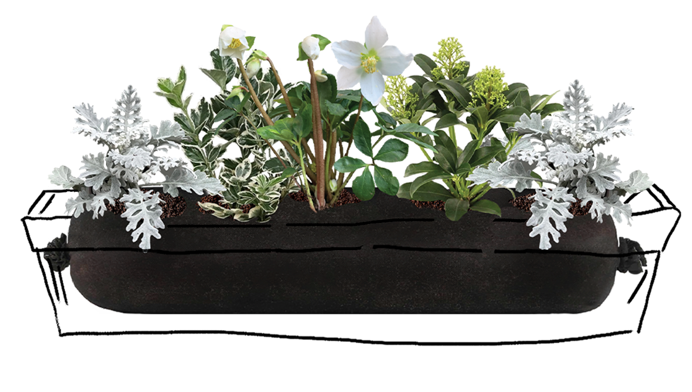 Homepage_B_70b6d3e5-cd99-4bcf-9598-0a8783ac2324