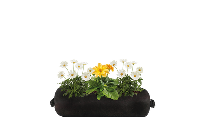 Bloom Bag Refill - Small