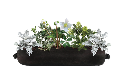 Decorative planter with greenery and white flowers on a white background