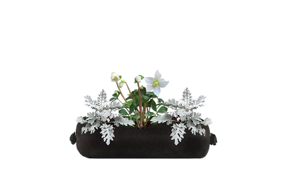 Black fabric planter with white flowers on a white background