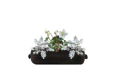 Black fabric planter with white flowers on a white background