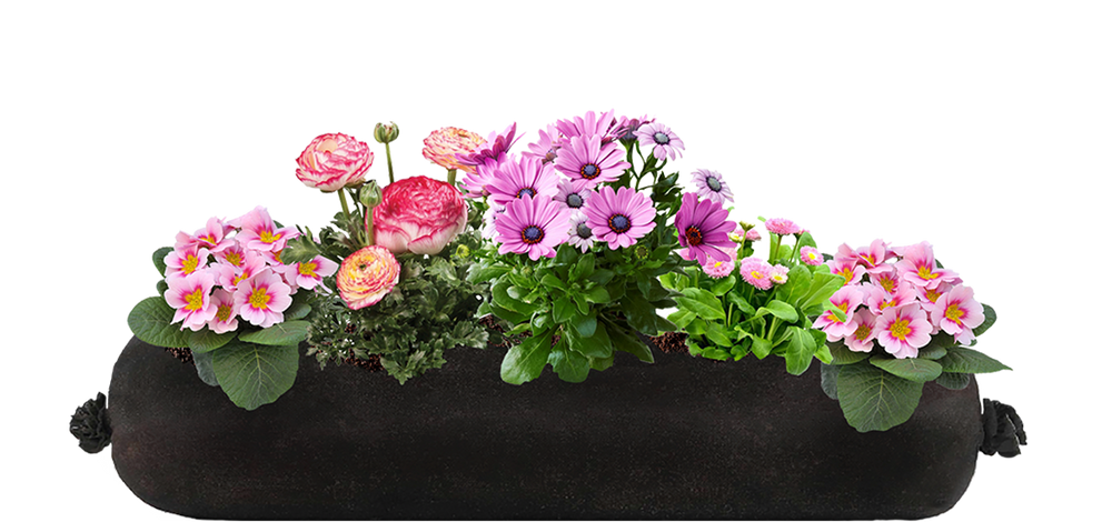 Parralax 127c69fc 915e 4558 9ccd d75f67c6cf29