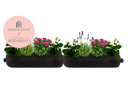 Bloom Bag Refill - Large