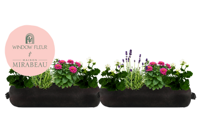 Bloom Bag Refill - Large
