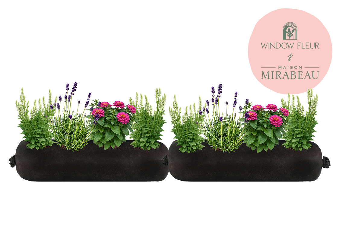 Two black window boxes with plants and flowers, featuring the Maison Mirabeau logo.