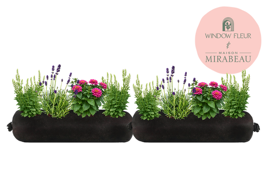 Two black window boxes with plants and flowers, featuring the Maison Mirabeau logo.