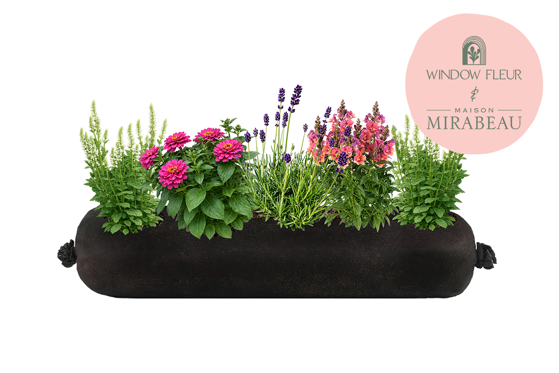 Black cylindrical planter with flowers and plants, featuring the Maison Mirabeau logo.