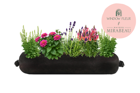 Black cylindrical planter with flowers and plants, featuring the Maison Mirabeau logo.